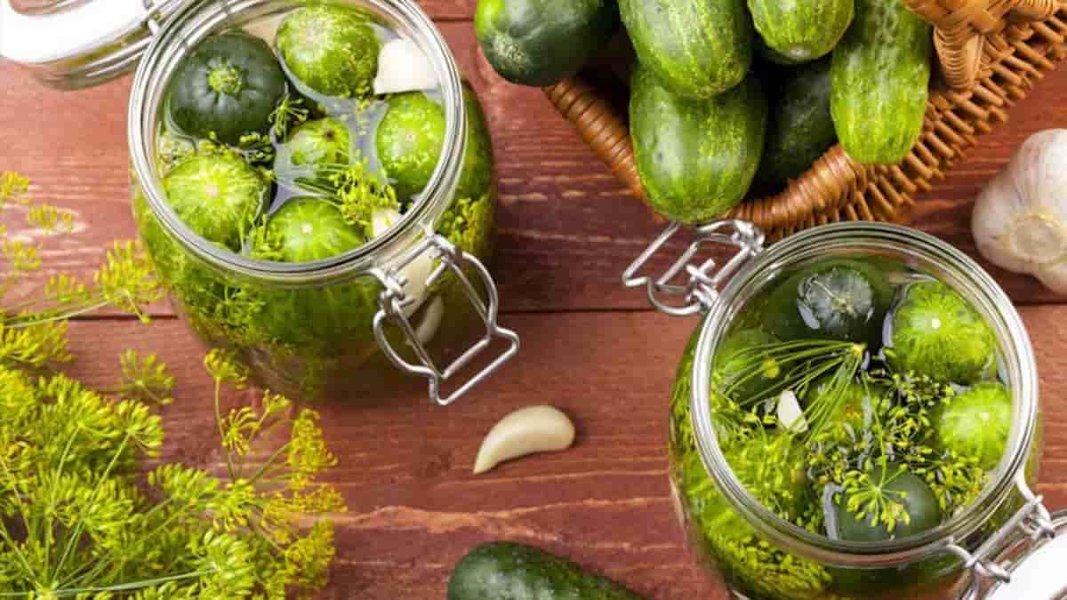تصویر 1 از قیمت خرید خیارشور دبه ۸ کیلویی با فروش عمده